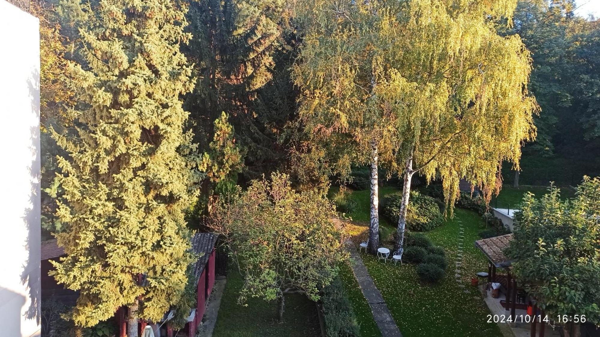 Apartman Oaza Olja Белград Екстер'єр фото